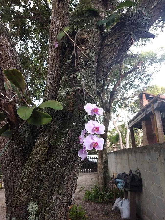 Casa Das Orquideas Arraial do Cabo Exterior photo